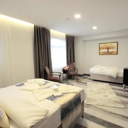 Hotel Guler & Cafe 3*